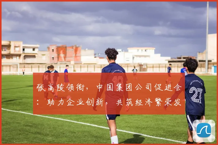 张高陵领衔，中国集团公司促进会：助力企业创新，共筑经济繁荣发展新篇章