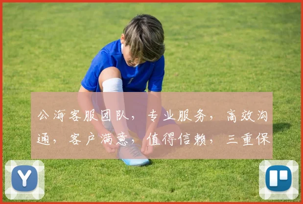公海客服团队，专业服务，高效沟通，客户满意，值得信赖，三重保障